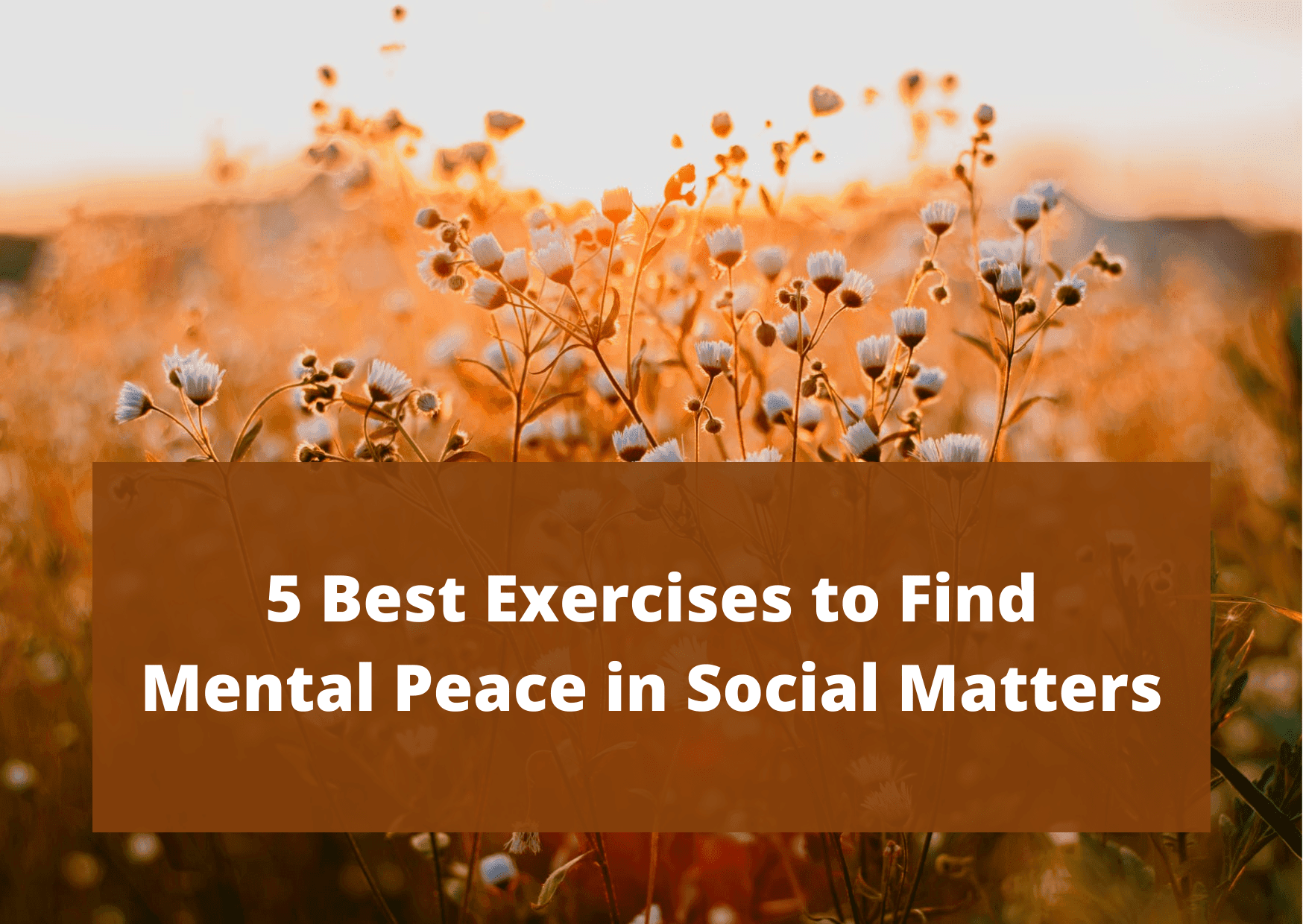 5 Best Exercises to Find Mental Peace in Social Matters